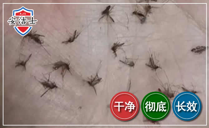 龙湾区蚊子防治-灭蚊