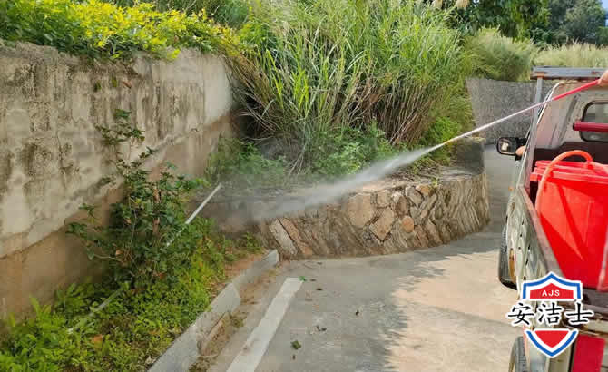 龙湾区道路堤坝白蚁防治