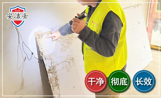 龙湾区除白蚁现场