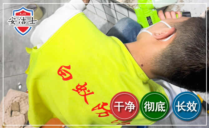 龙湾区白蚁根治现场